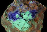 Sparkling Azurite and Malachite Crystal Cluster - Morocco #127518-1